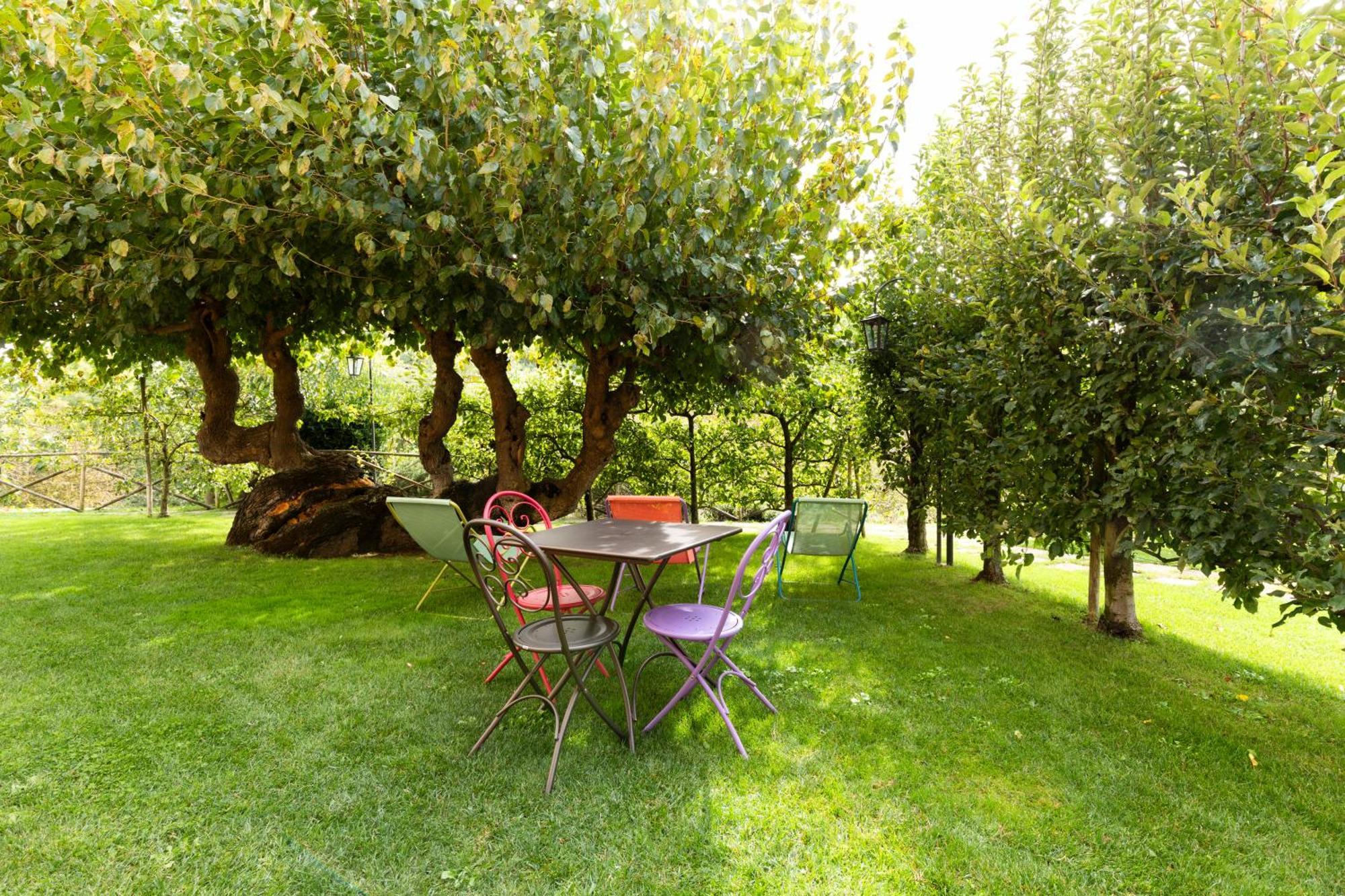 Agriturismo I Gelsi Di Santa Cristina Gubbio Exteriér fotografie